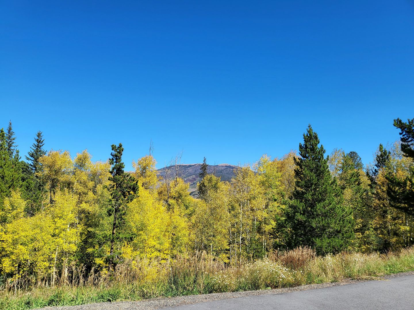 Long Term Rental- 3712 Silverheels Drive – photo 1