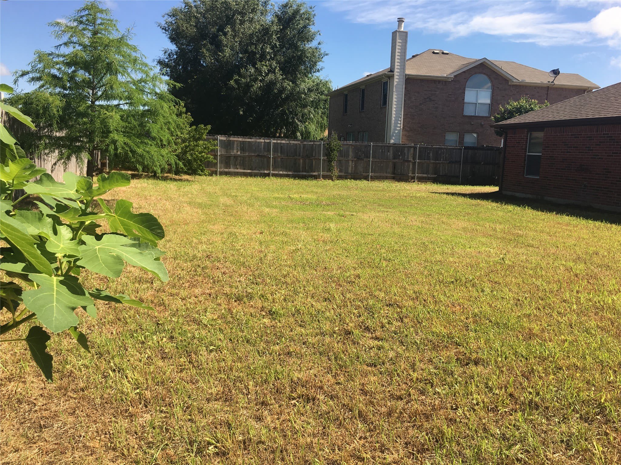 311 Tolleson Drive – photo 4