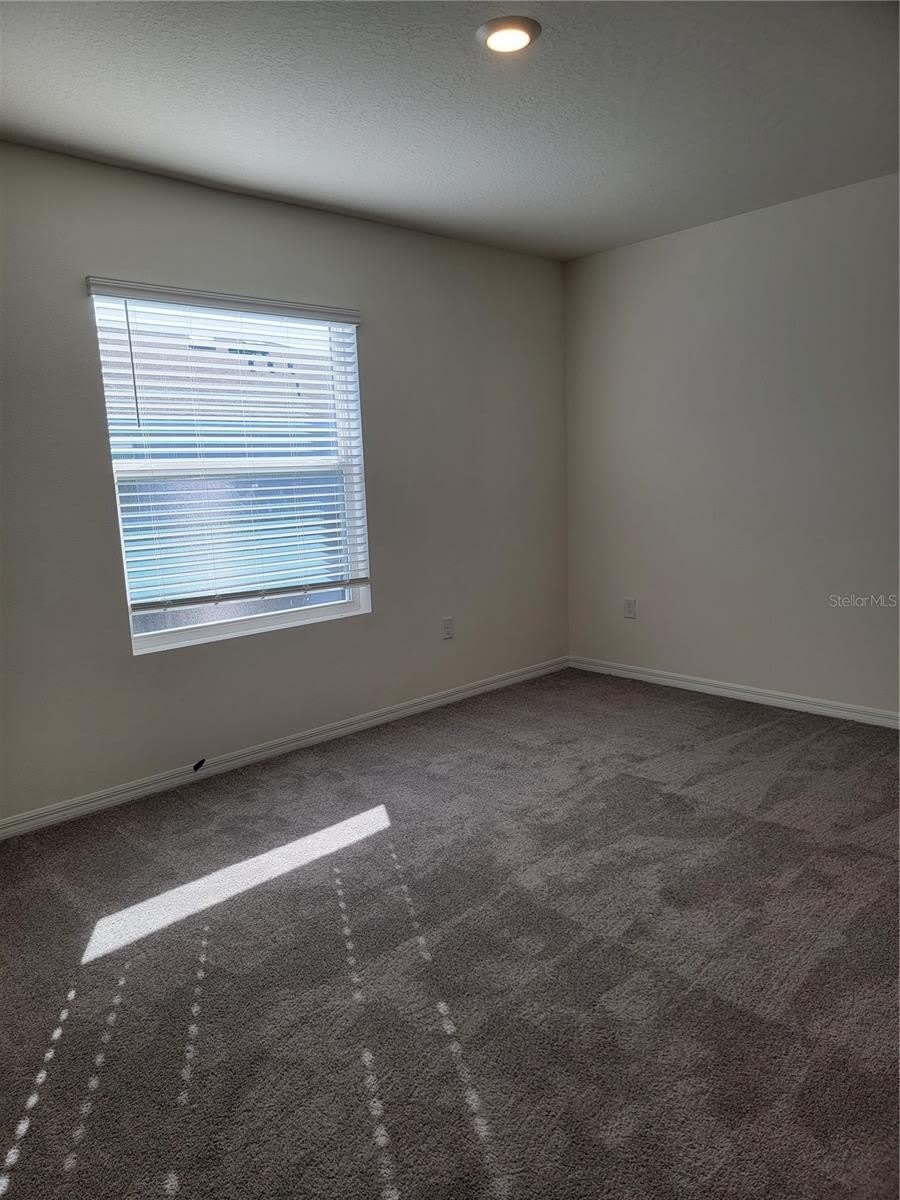 2892 EVERGREEN ELM Pass – photo 2