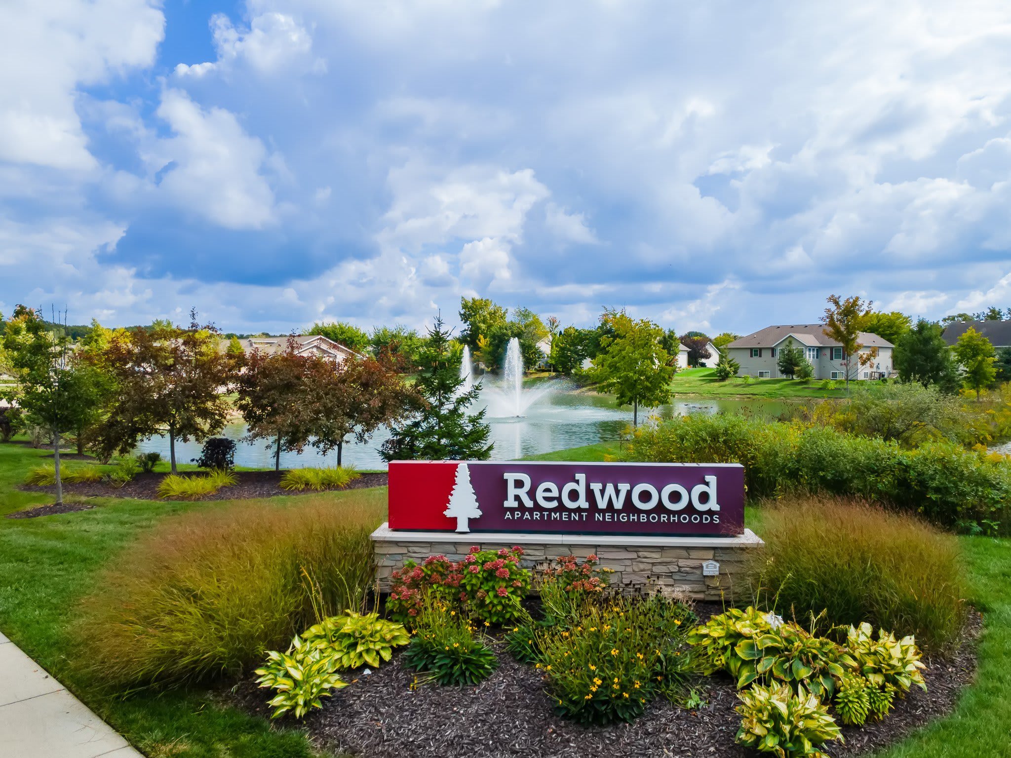 Redwood Zeeland – photo 3