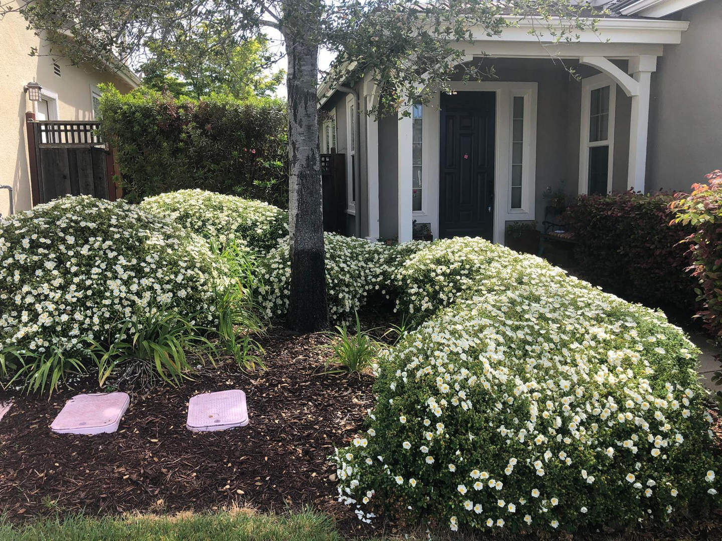 Beautiful Deerfield Home in One of Scotts Valley's Most Desirable Neighborhoods – photo 3