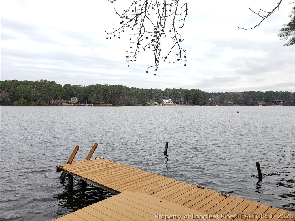 9 Dixie Drive – photo 2