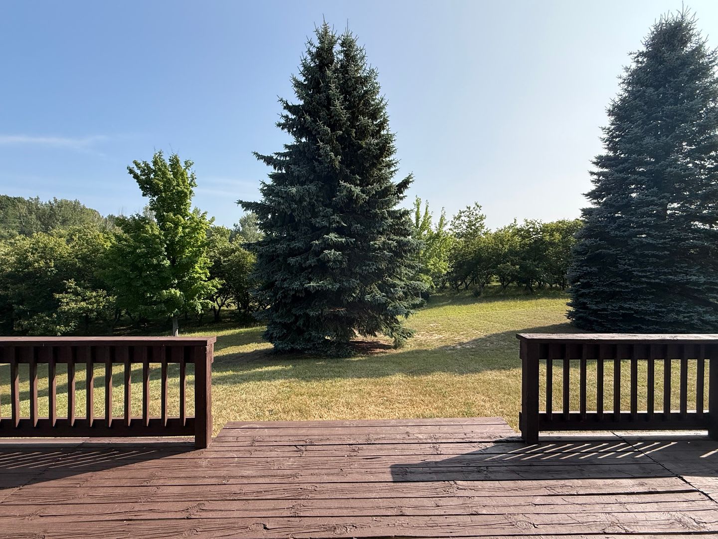 Peaceful Country Living on 17 Acres – photo 5