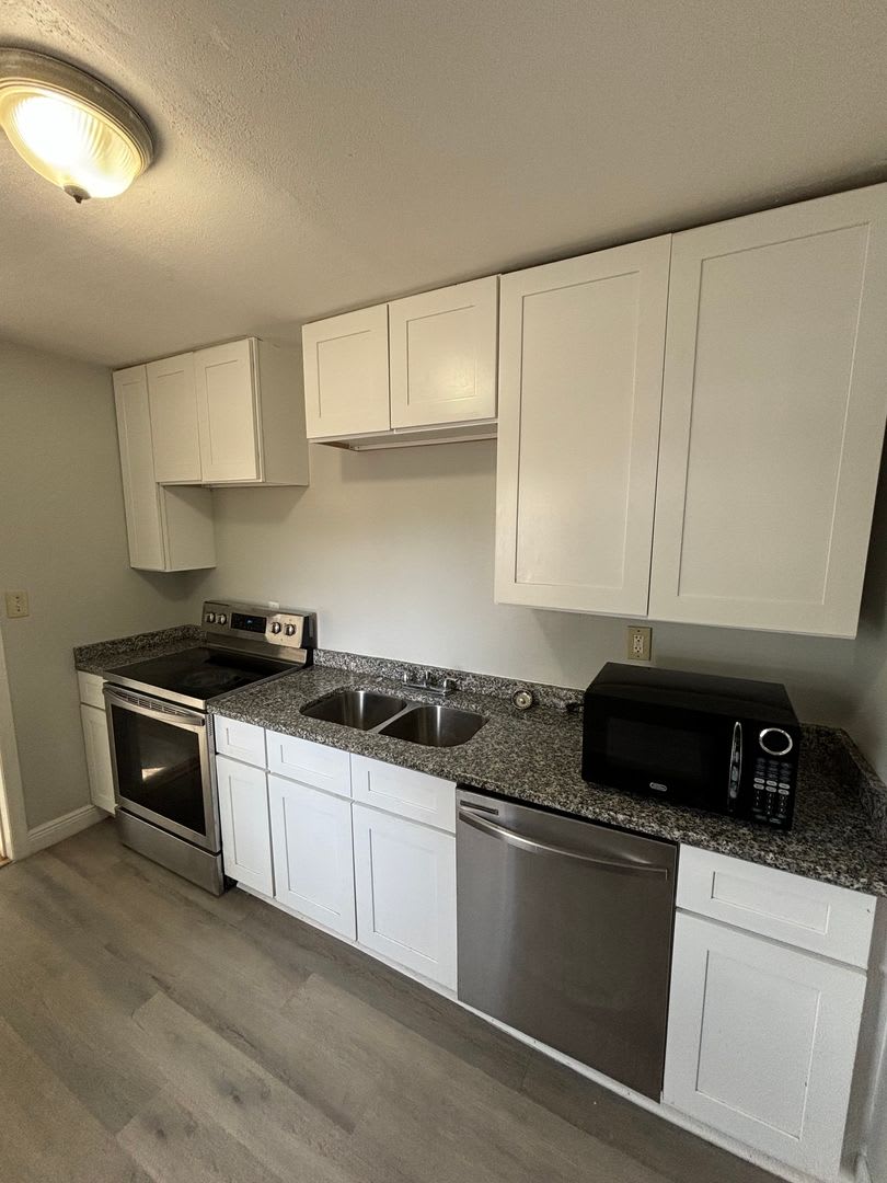 3 Bed 1 Bath North St Petersburg – photo 2
