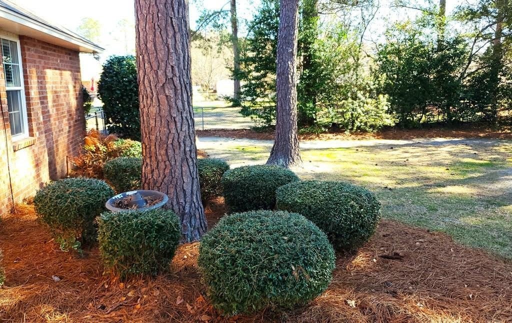 1450 Morris Way Drive – photo 2