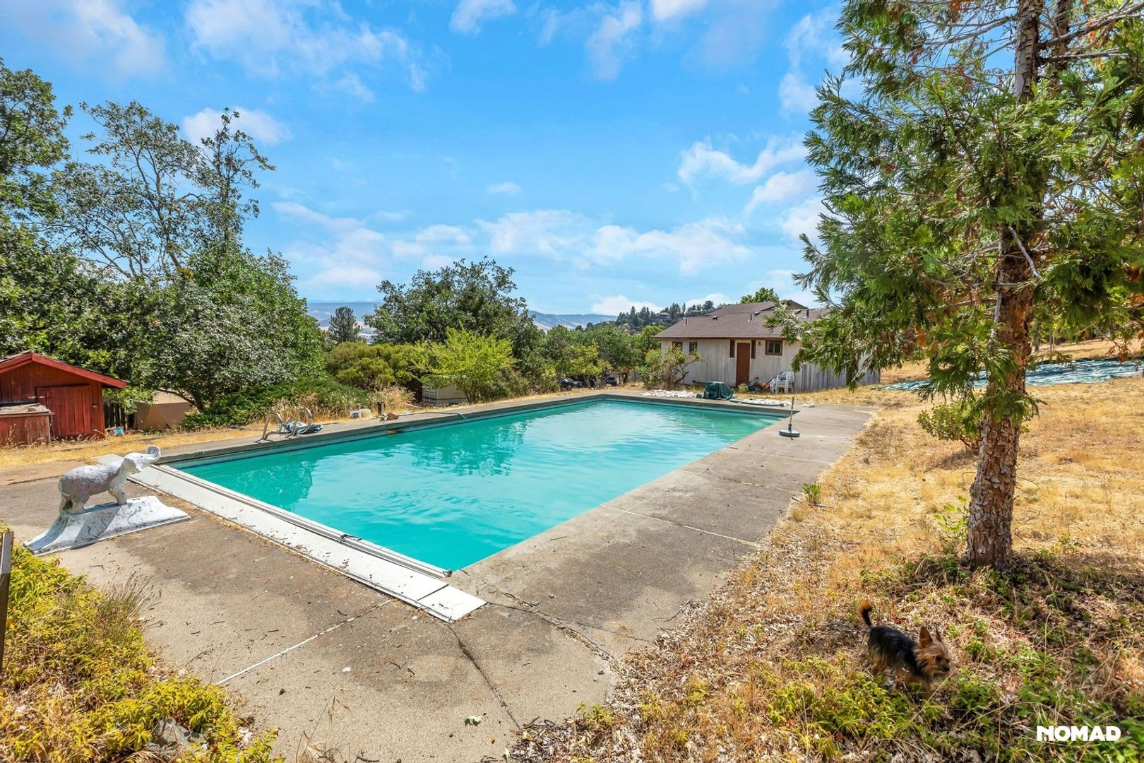 Soulful Mountain Sanctuary In Ashland Available September 1St – photo 4