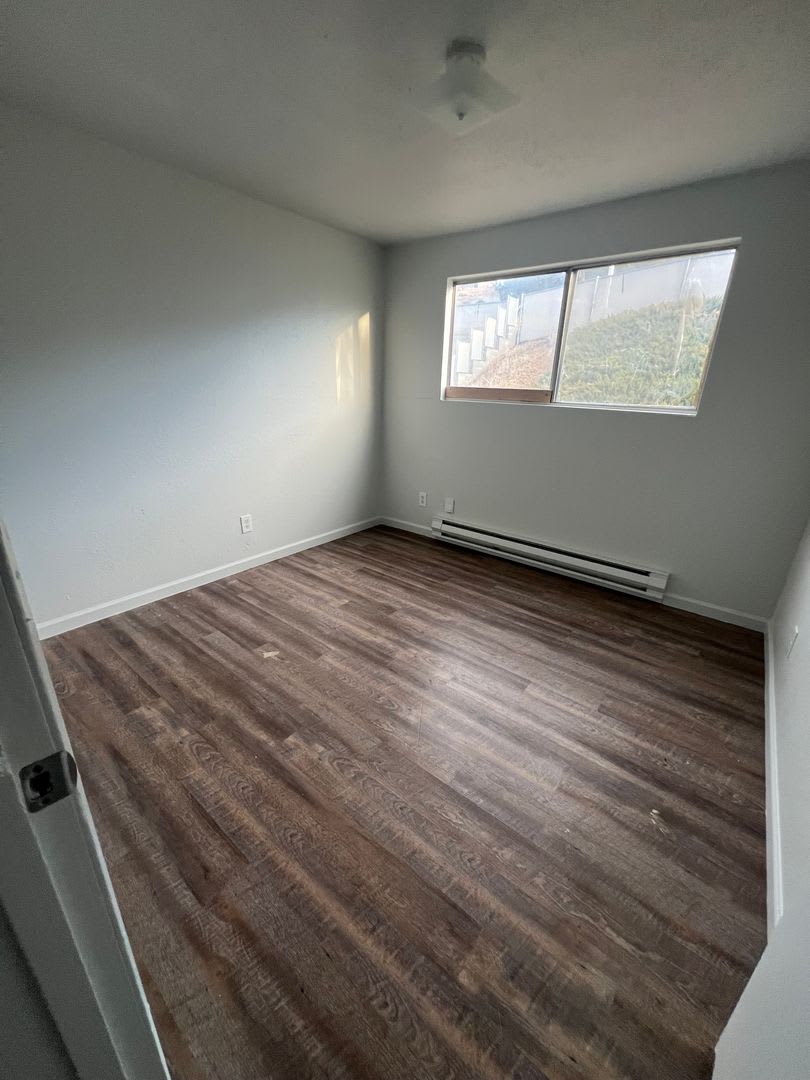 Newly Renovated – photo 5