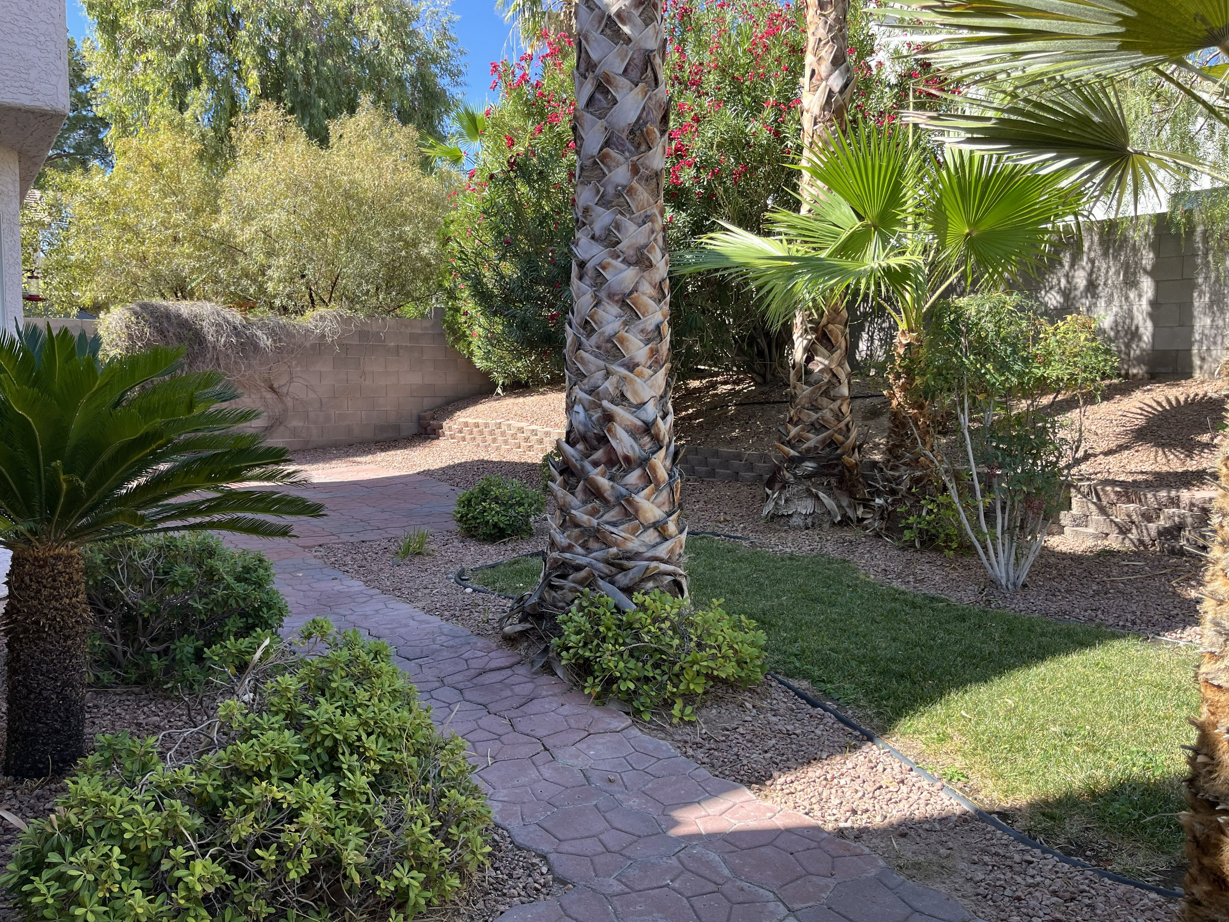 291 Manzanita Ranch Lane – photo 2
