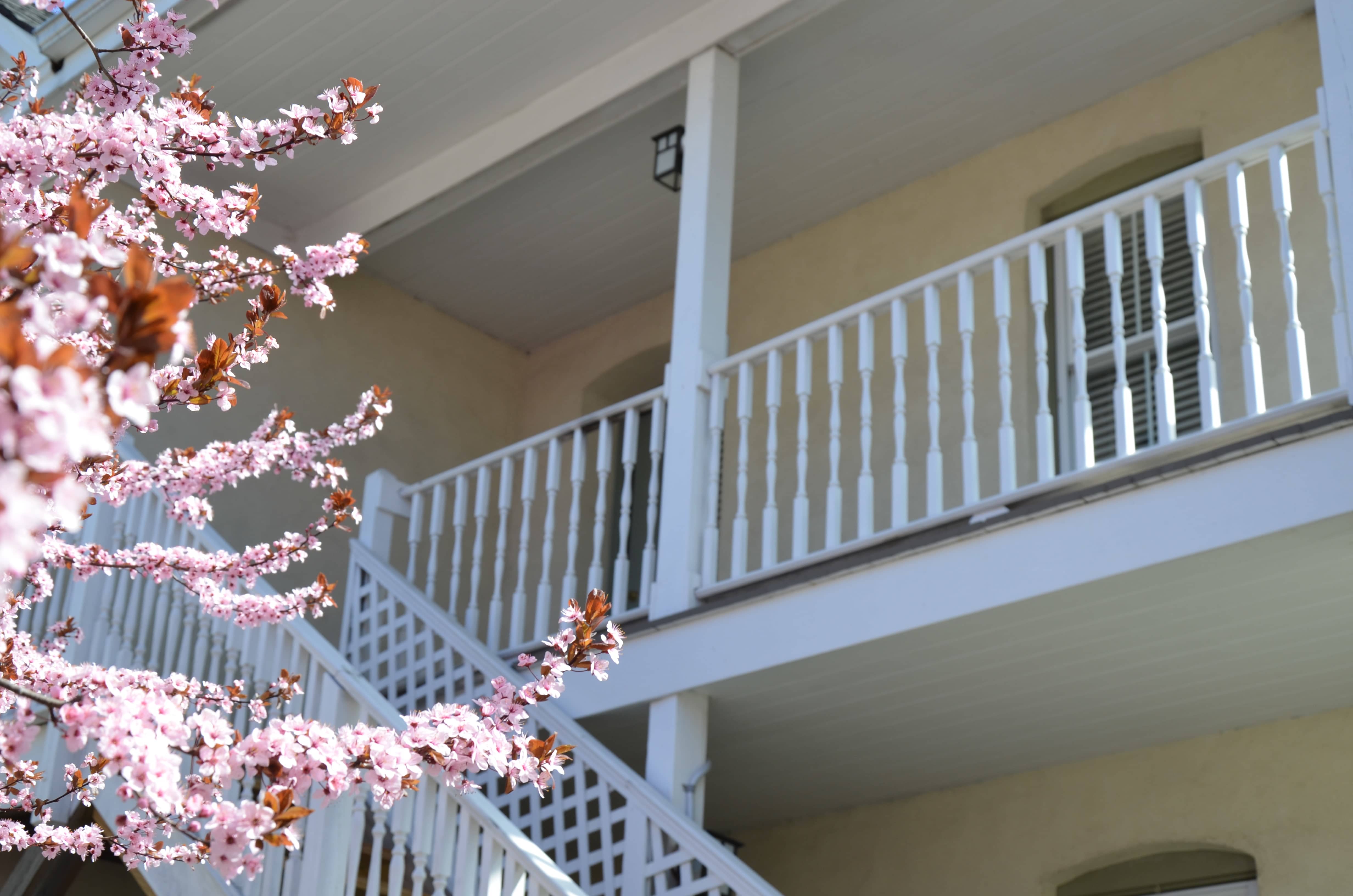 18 Berrian Place – photo 2