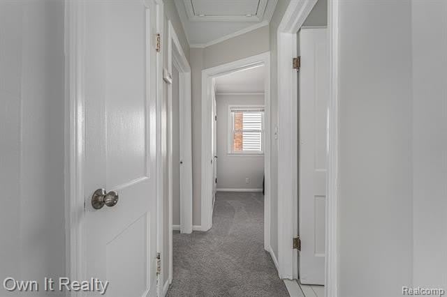 3335 Williams Street – photo 5
