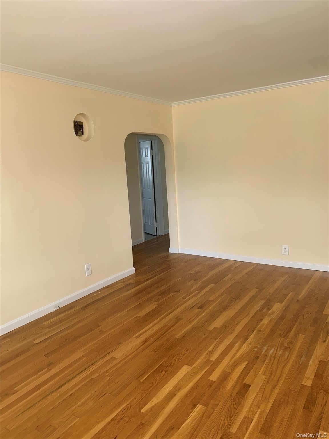 431 E Chester Street – photo 5