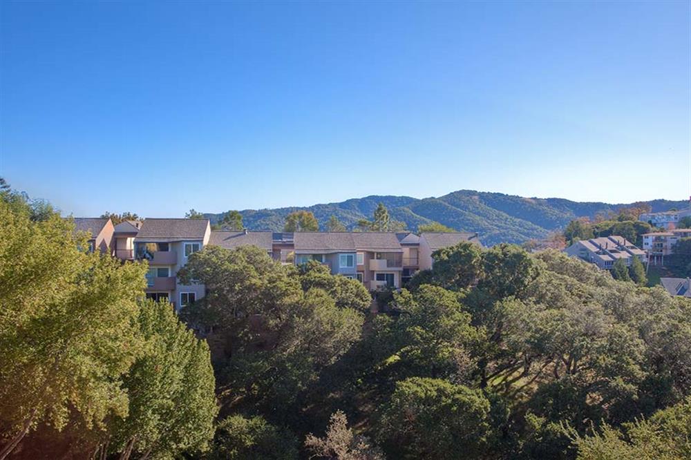 View at Marin Apartments – photo 4