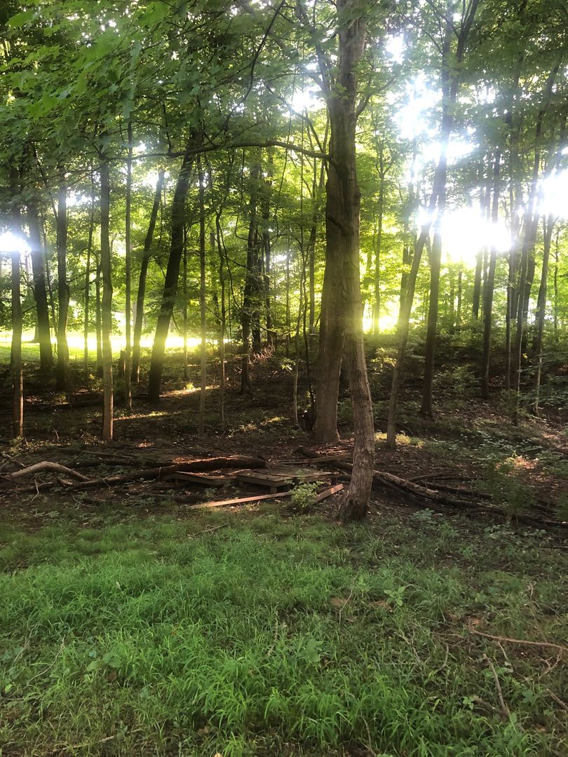 5 bed Cabin A-frame in the woods with large back deck, Next to IU Golf Course and Foundation! – photo 3
