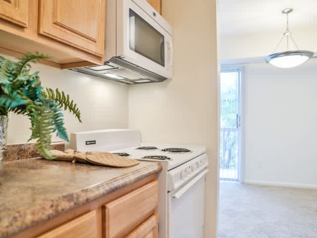 Applegate And Potomac Commons Apartments And Townhomes – photo 4