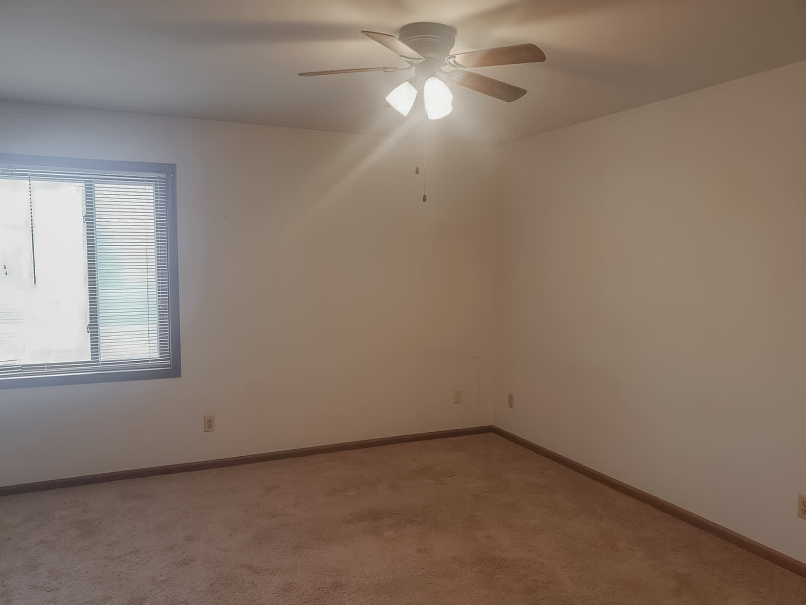 695 Wood Violet Lane #9 – photo 3