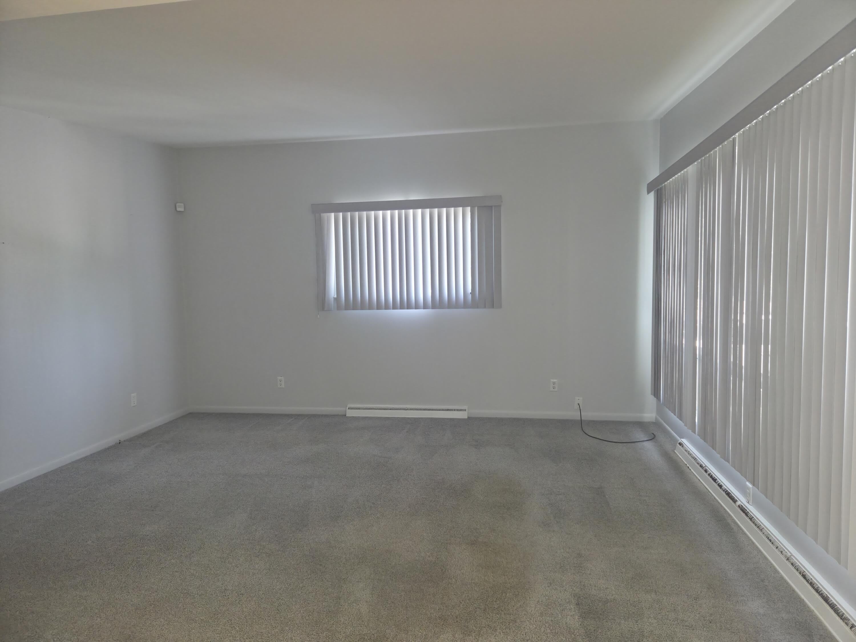 765 Douglas Street – photo 5