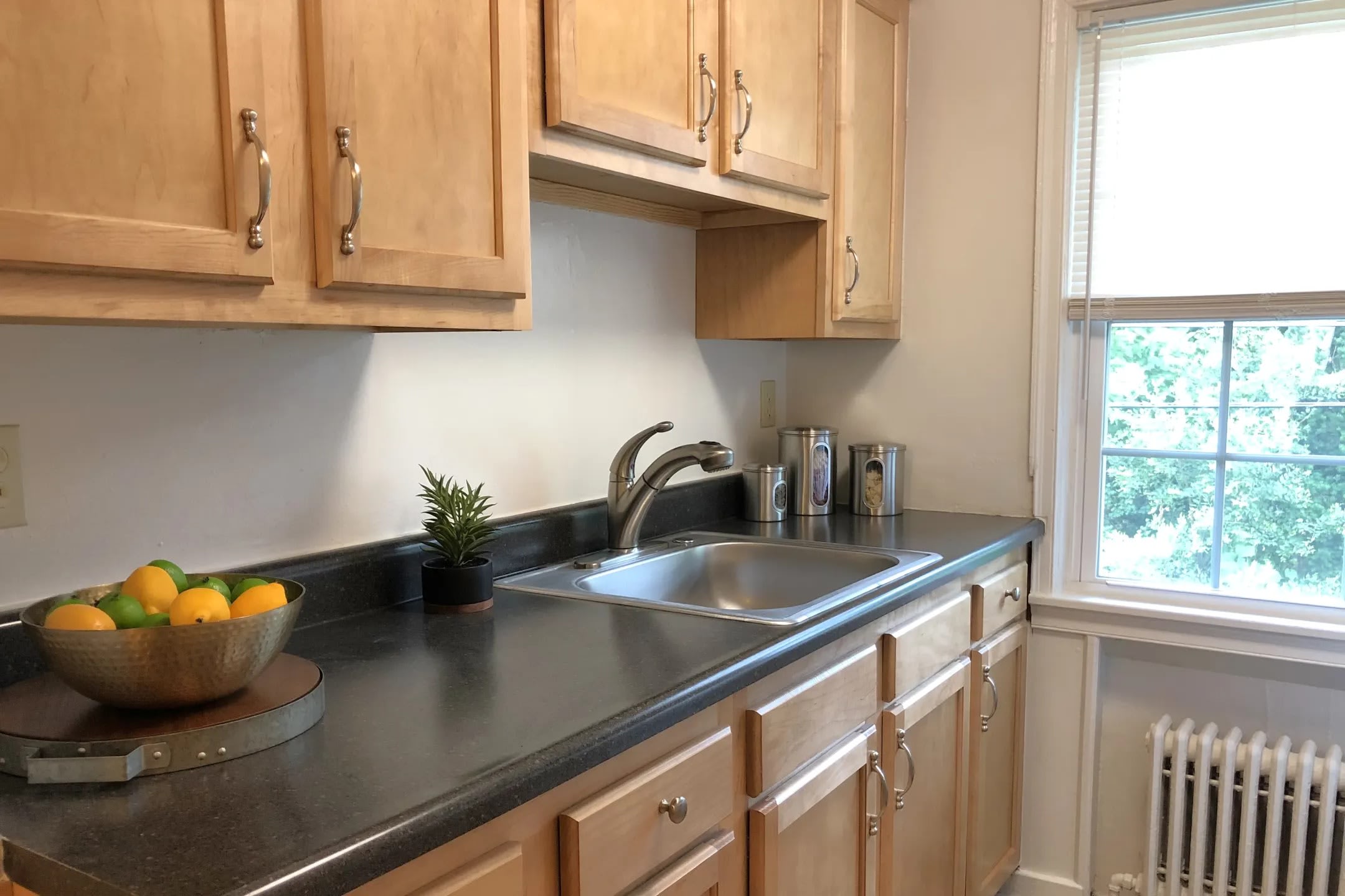 Schuyler Place – photo 4