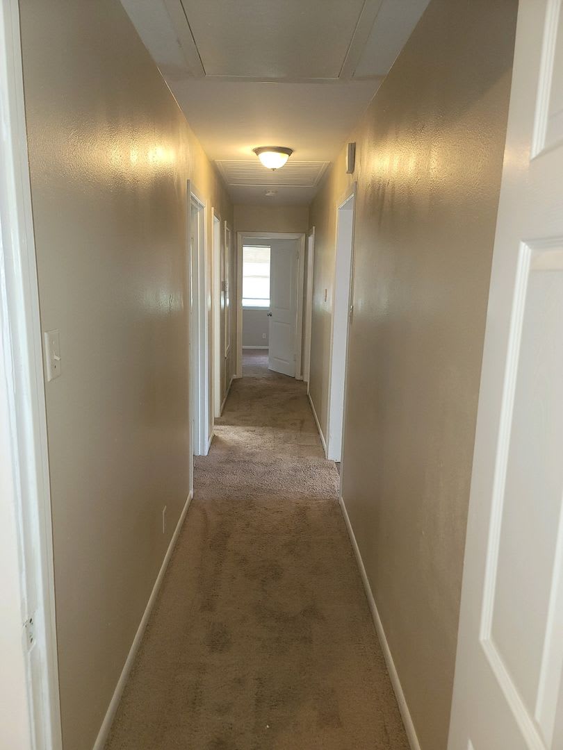 4 Bedroom 2 Bath in The Avenues – photo 3