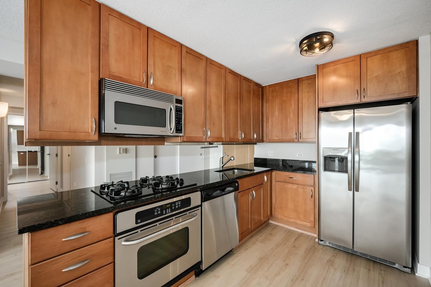 9715 Woods Drive – photo 4