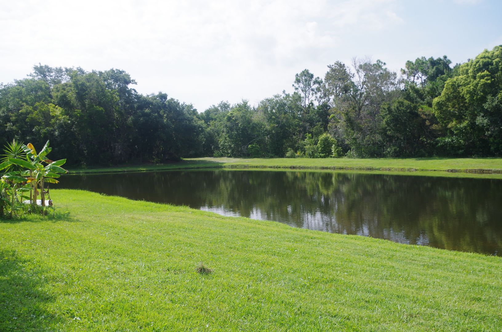 Pond Views-Updated Brandon Home! – photo 3