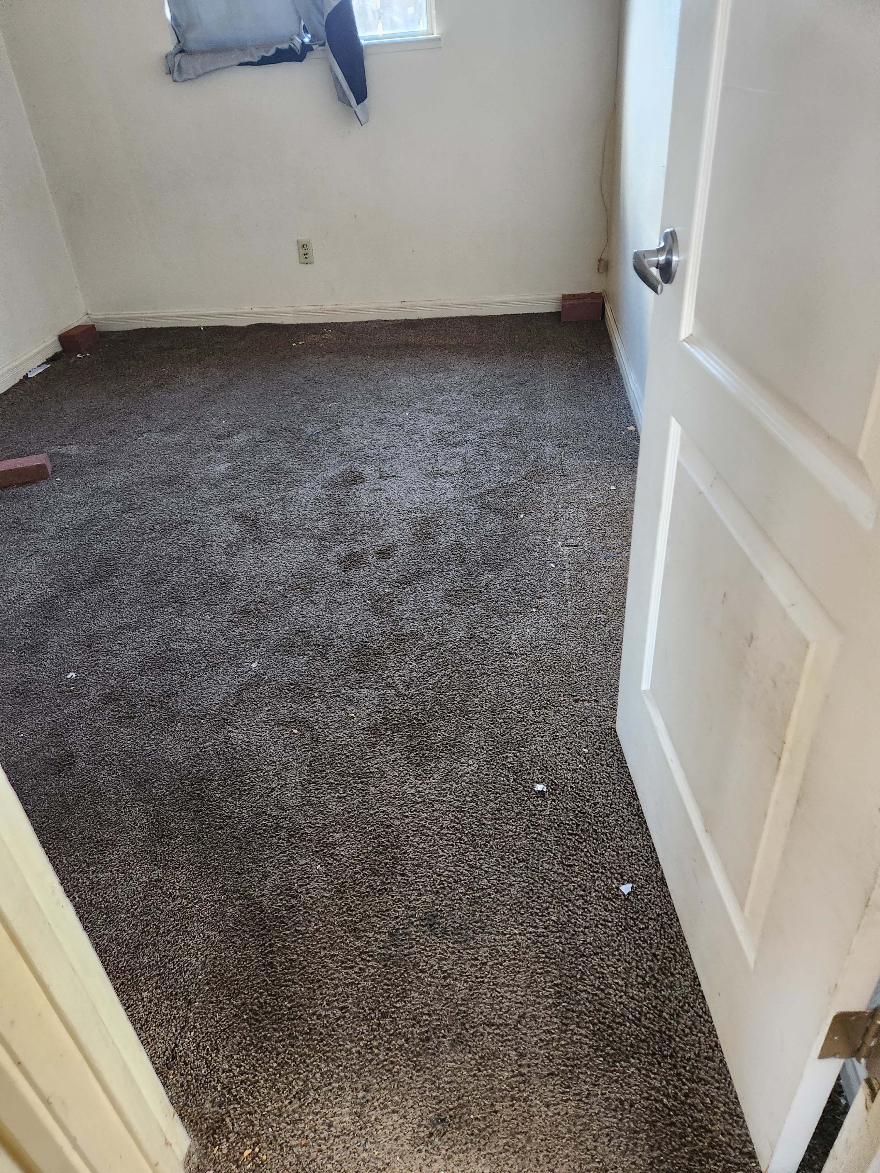 313 South 2nd Avenue – photo 5