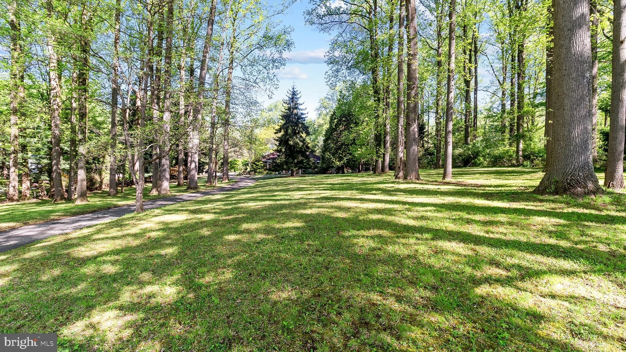 501 WEBB Road – photo 4