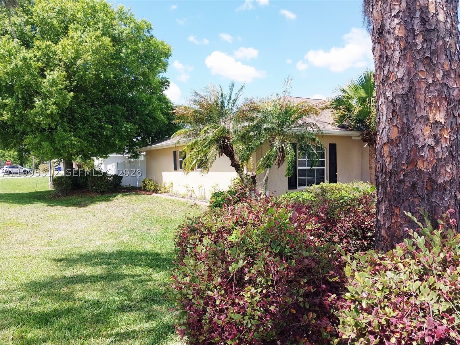 4031 Santa Barbara – photo 3