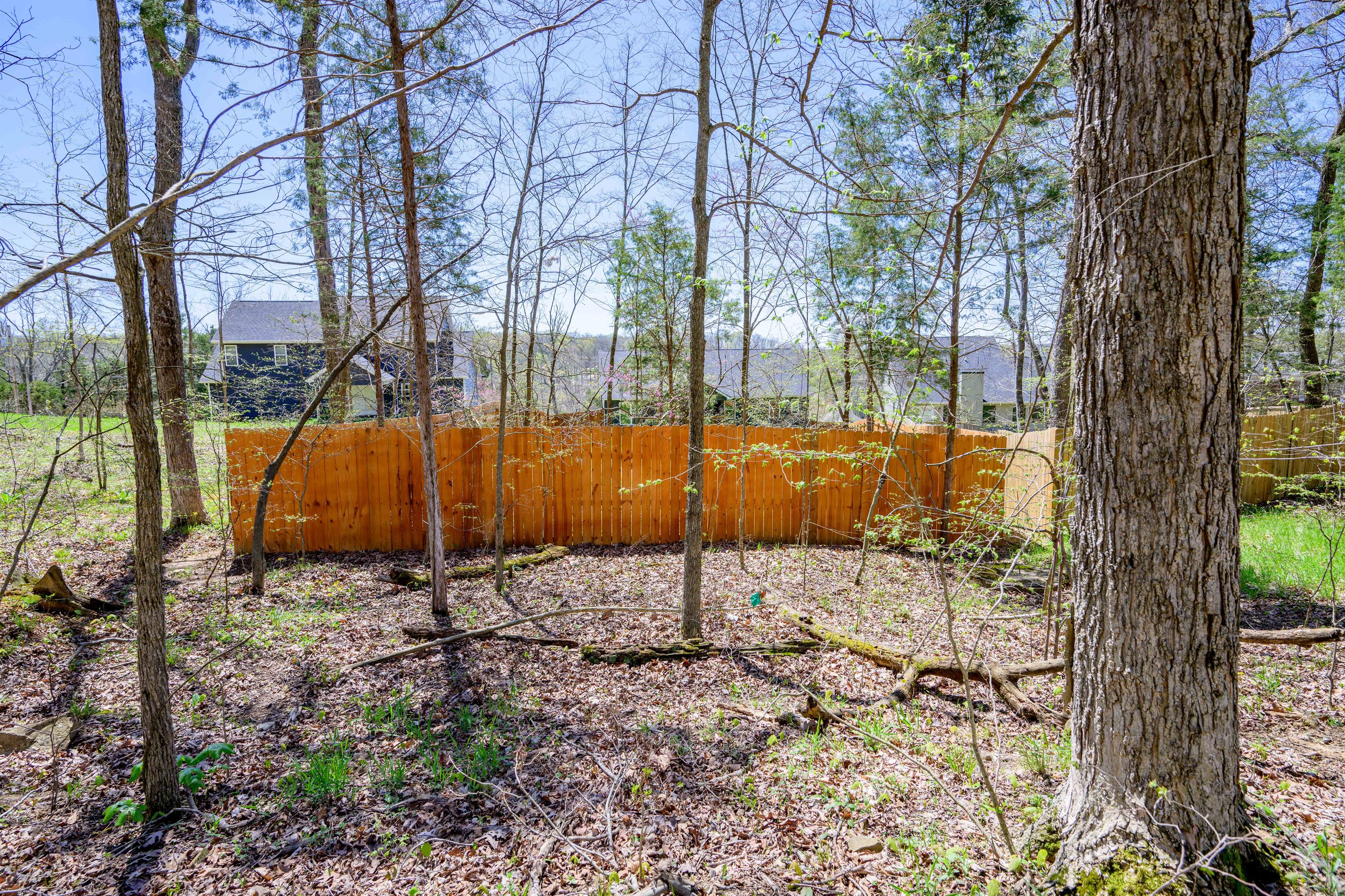 299 Hampton Road – photo 5