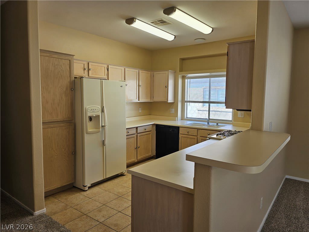 6900 Indian Chief Drive – photo 3