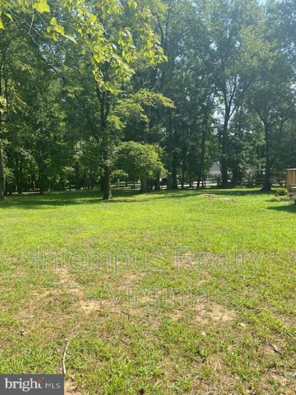 5317 Apple Blossom Ln – photo 3