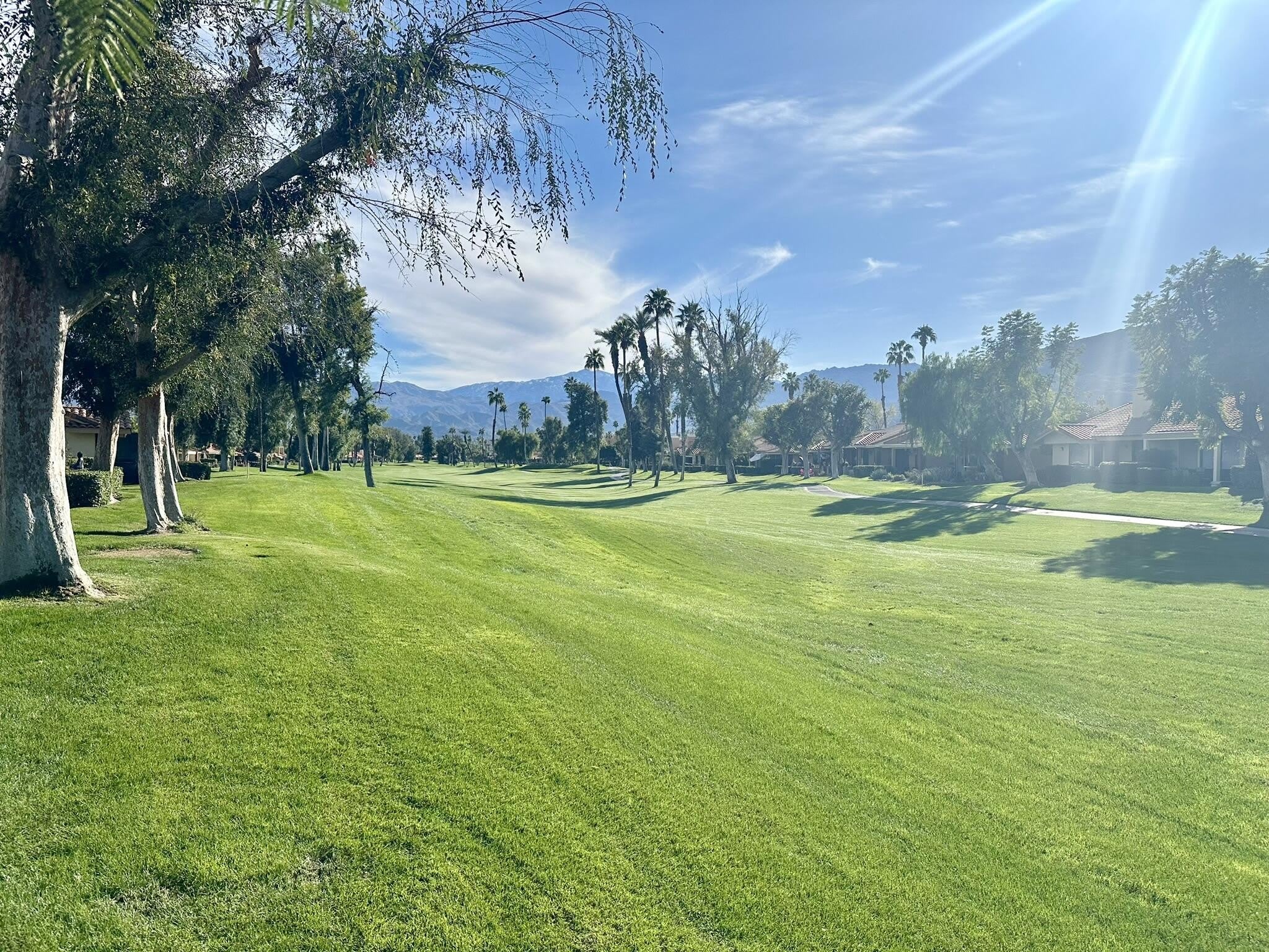 207 Serena Drive – photo 2