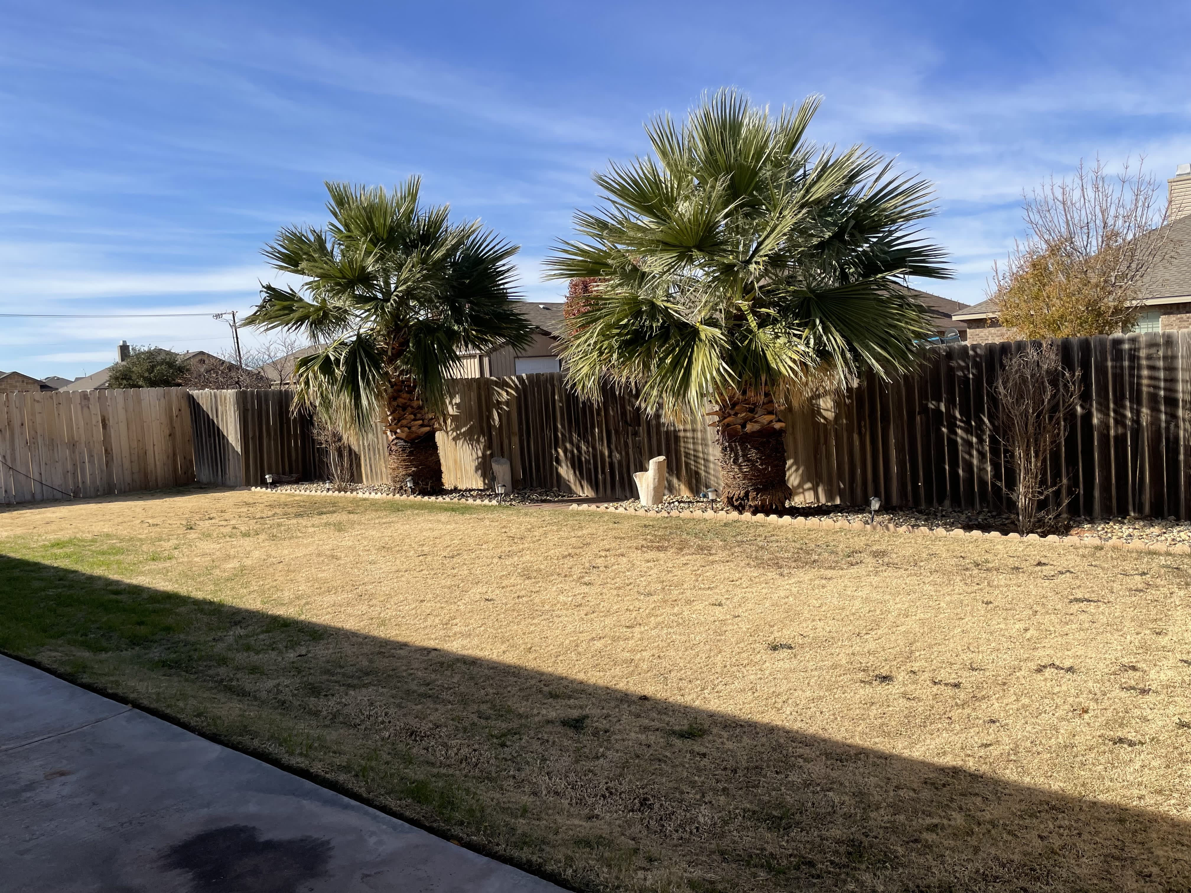 6216 Olympic Court – photo 2