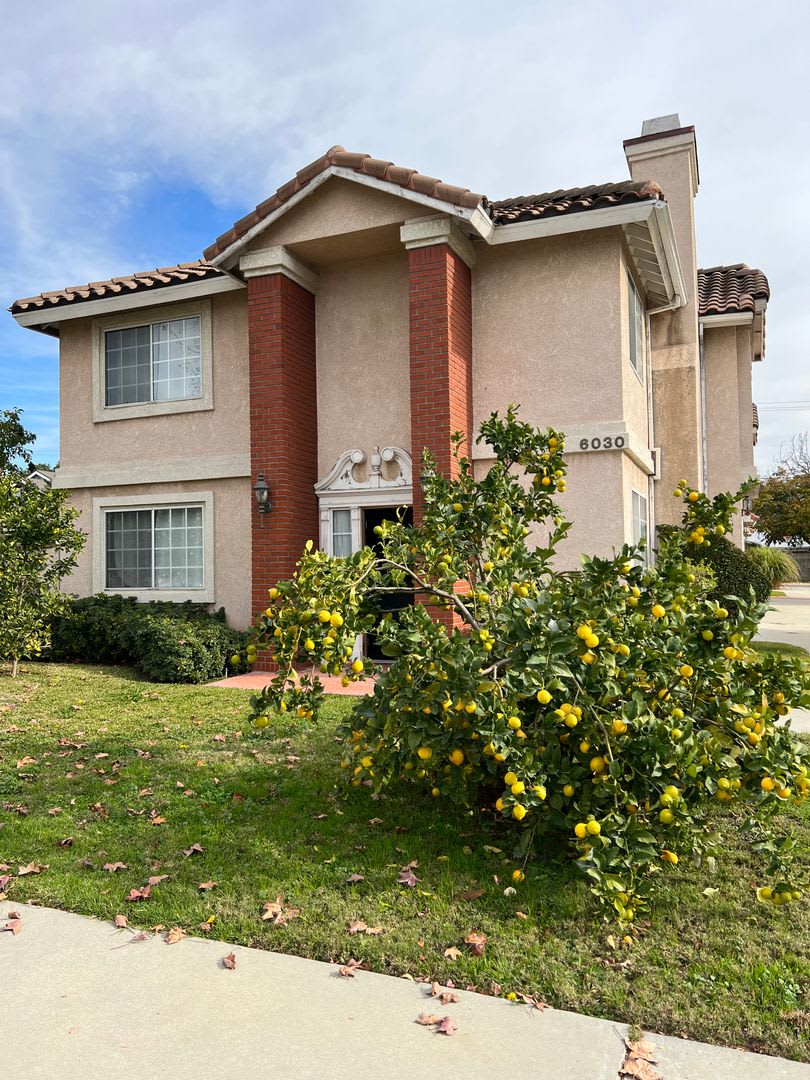 Spacious 4 Bedroom 2 5 Bath Fireplace Yard Camellia – photo 1