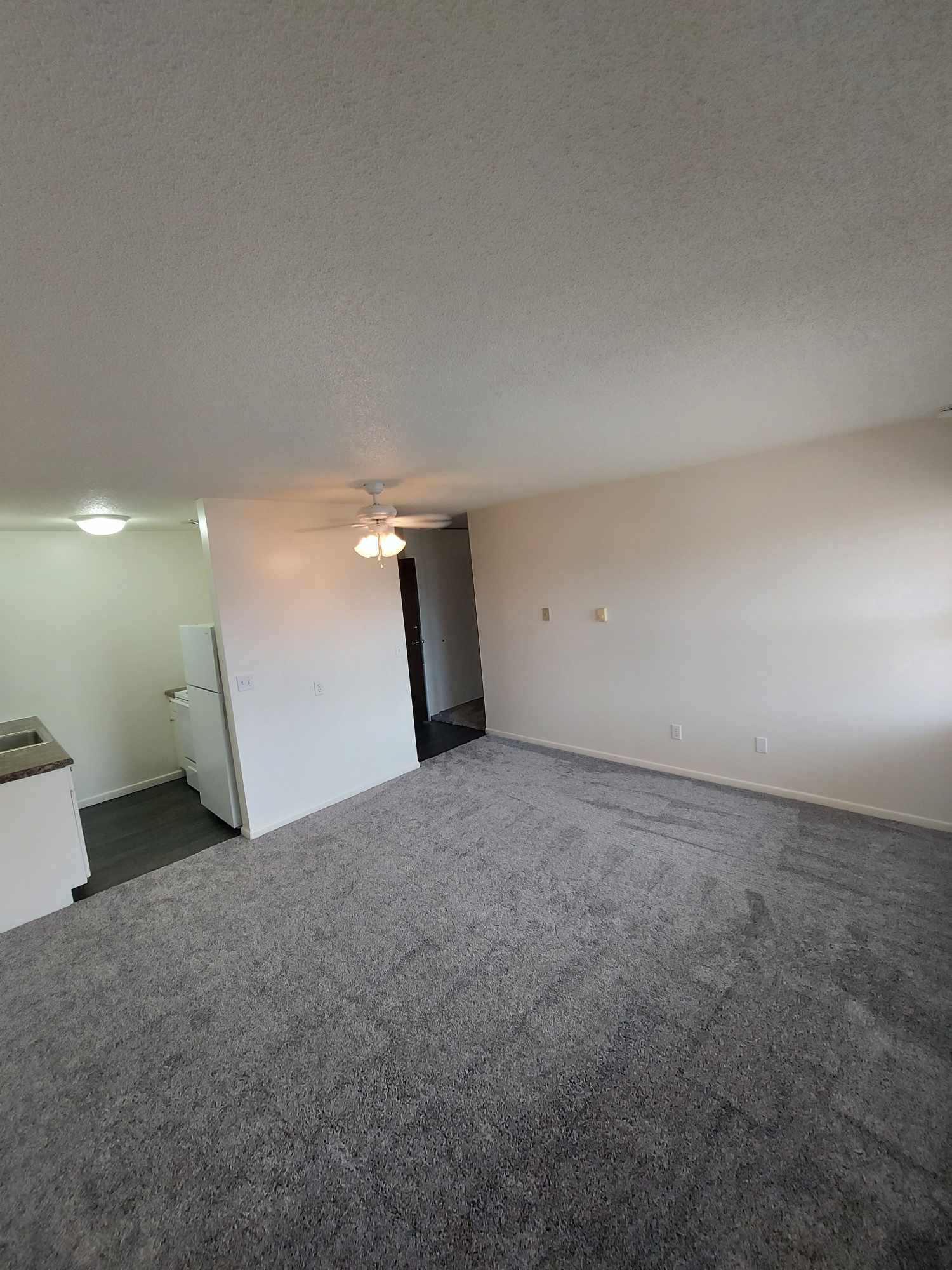 530 Korb Street – photo 3