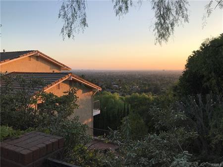 11393 La Vereda Dr – photo 2