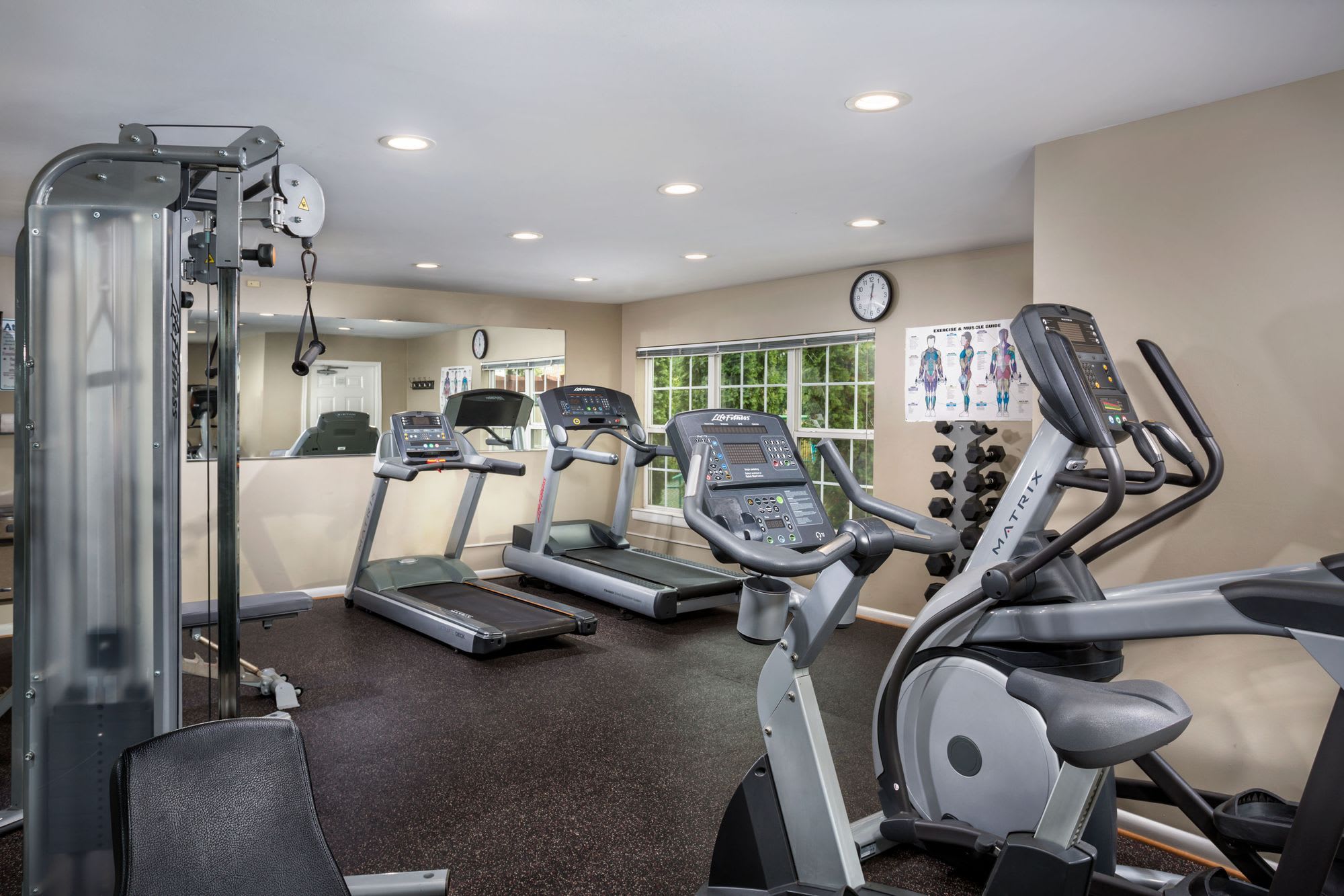 Trevors Run Apartments – photo 5