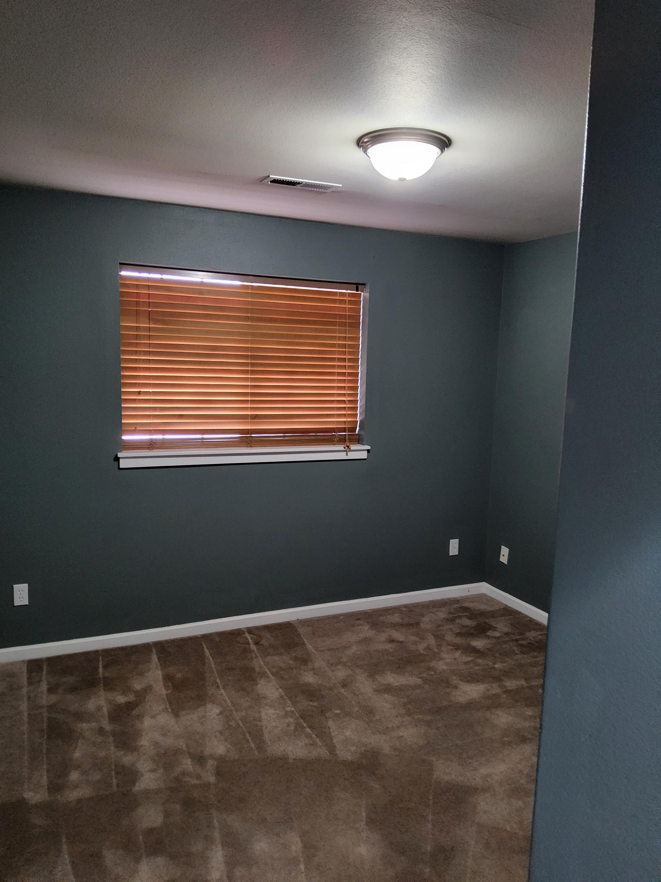 20377 Vassar Place – photo 3