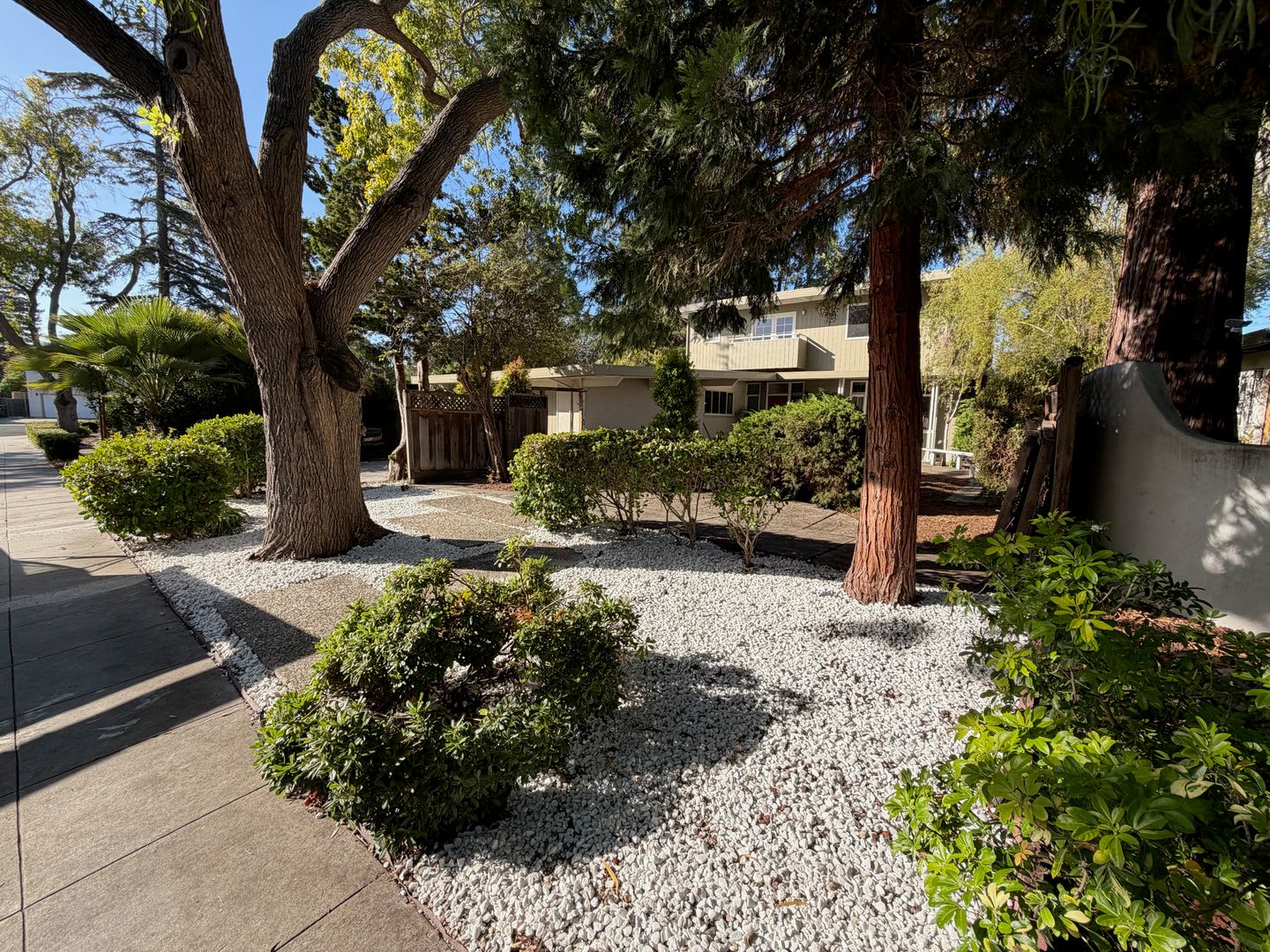 Welcome to 3630 Lupine Ave, a Beautiful Palo Alto Home – photo 1