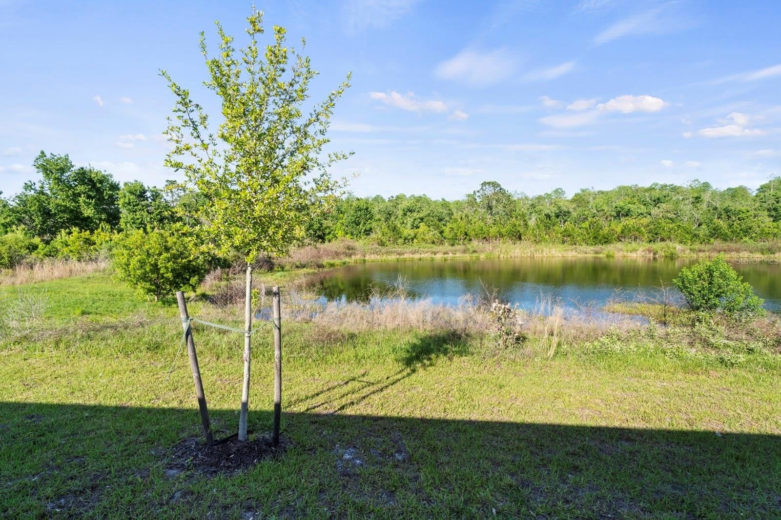 4224 SAGEFIELD Drive – photo 2