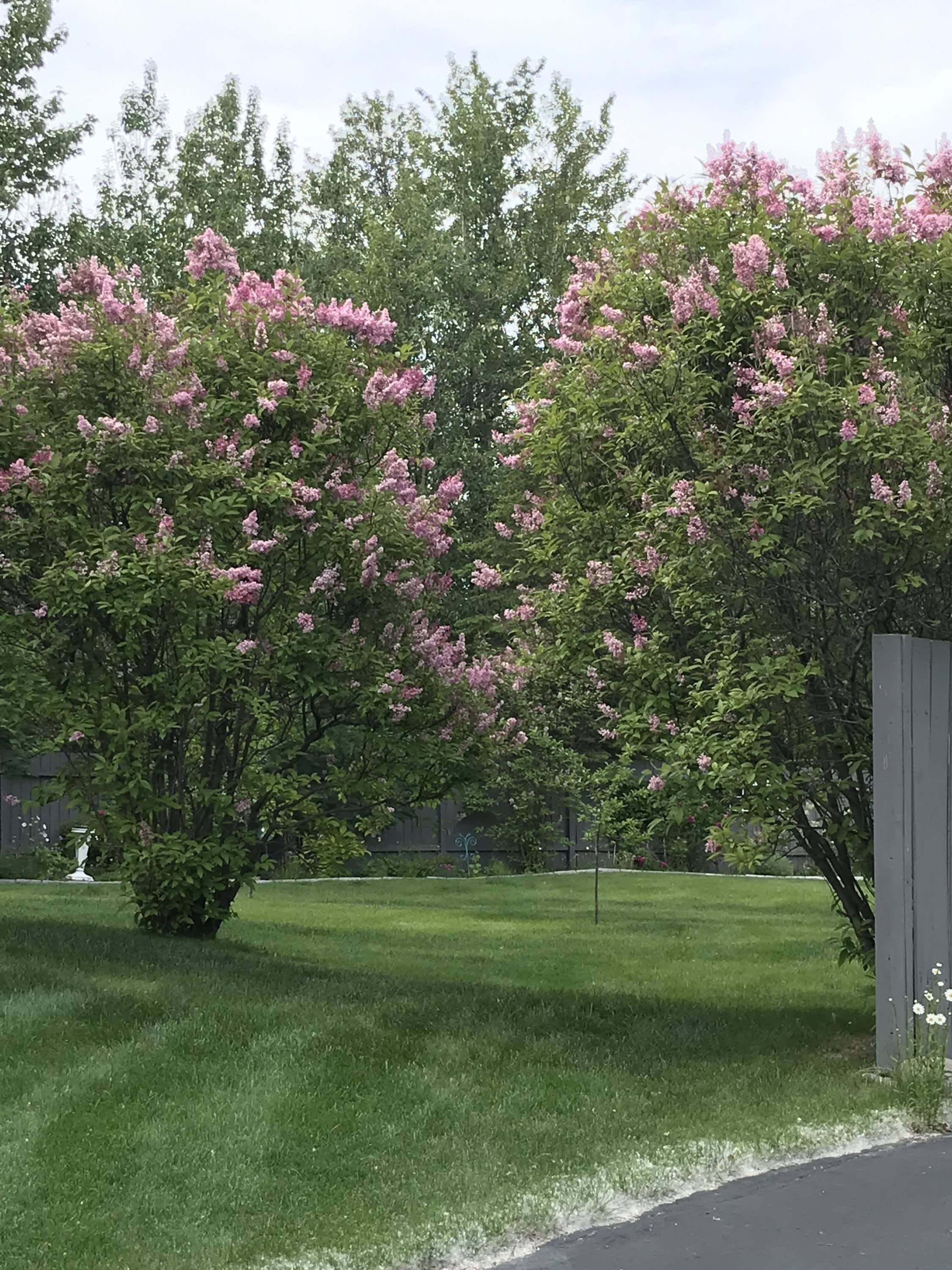 2050 S Decamp Cir – photo 2