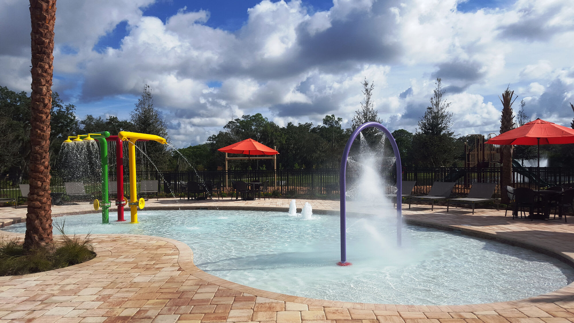 Goldelm at Bennett Park – photo 3