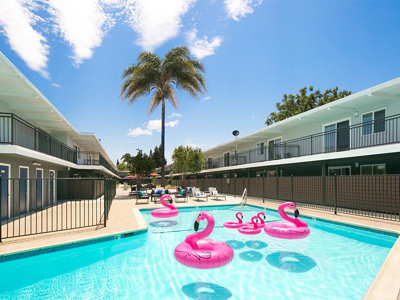 Aloha Apartments – photo 1