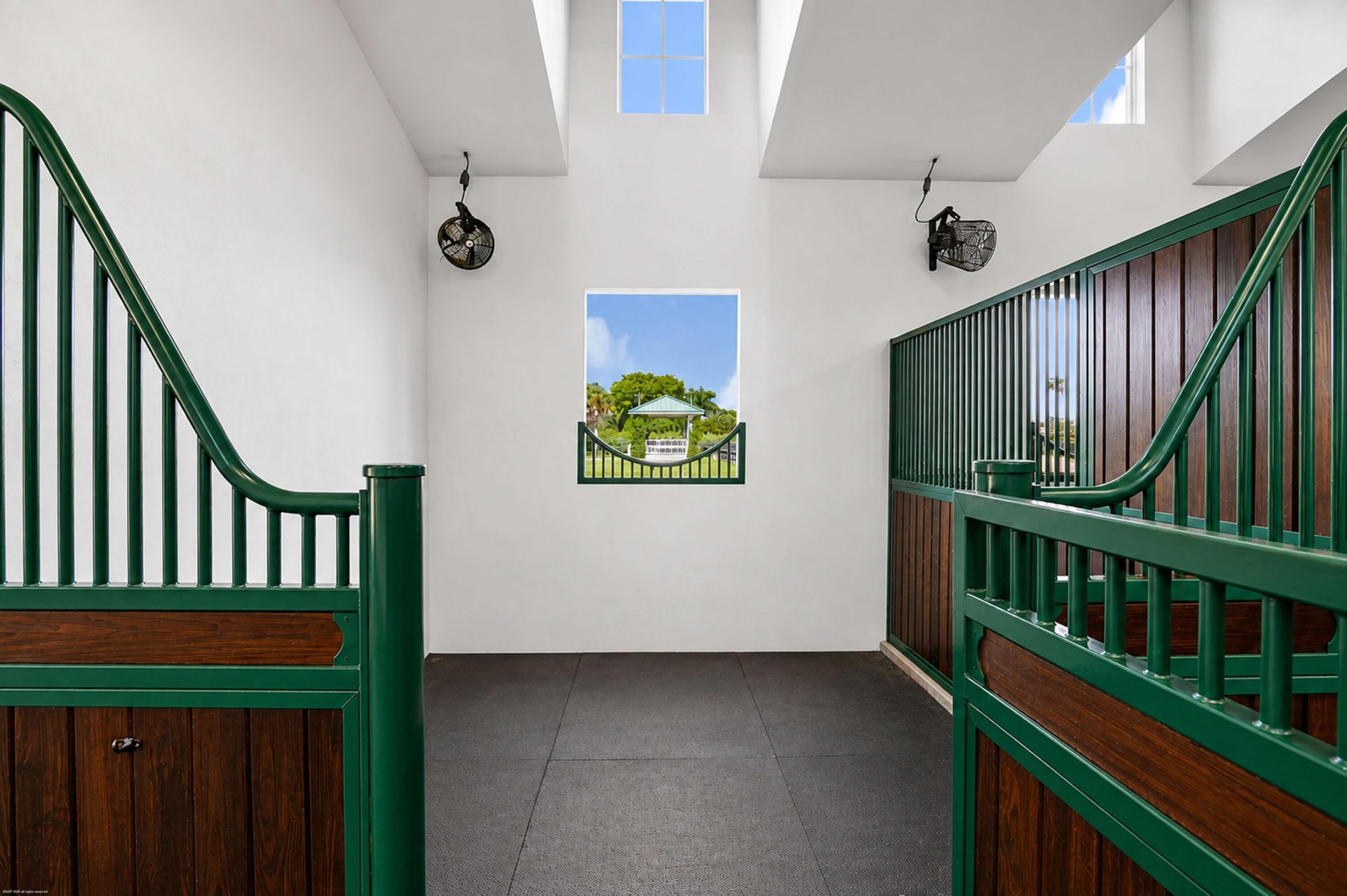 2600 APPALOOSA Trail – photo 5