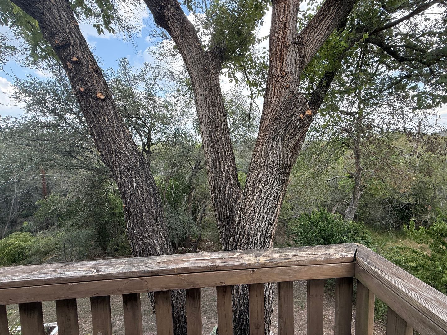 812-A RAMBLE LN – photo 3