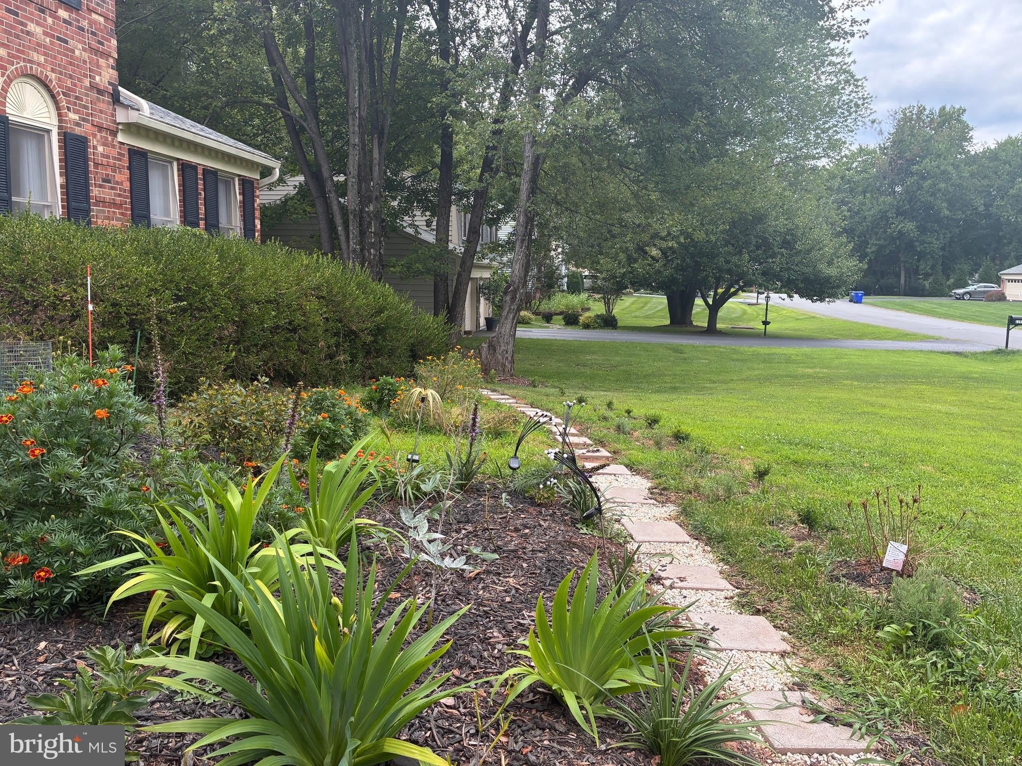 11907 FALLEN HOLLY Court – photo 4