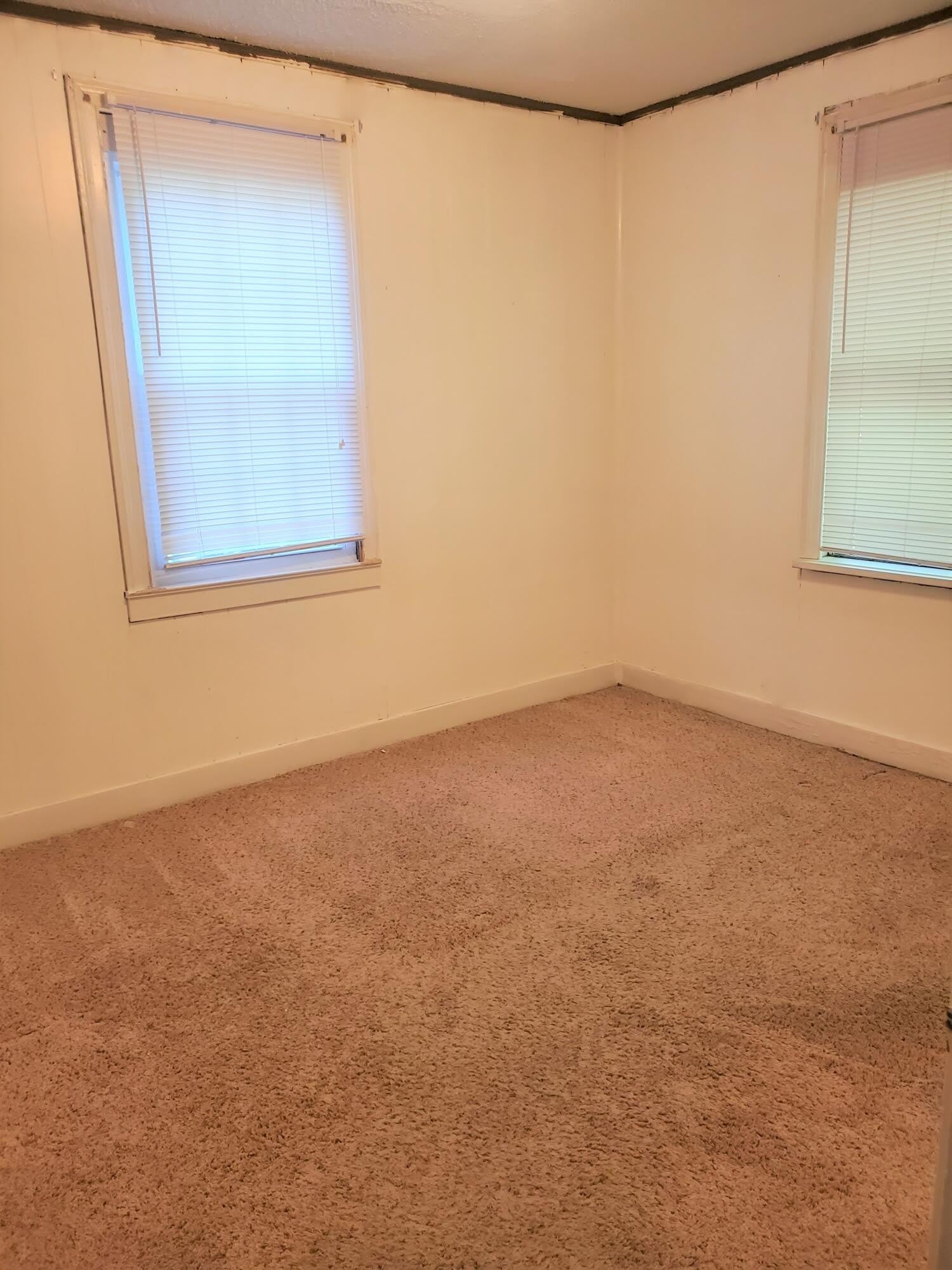 2033 Shirley Avenue – photo 5