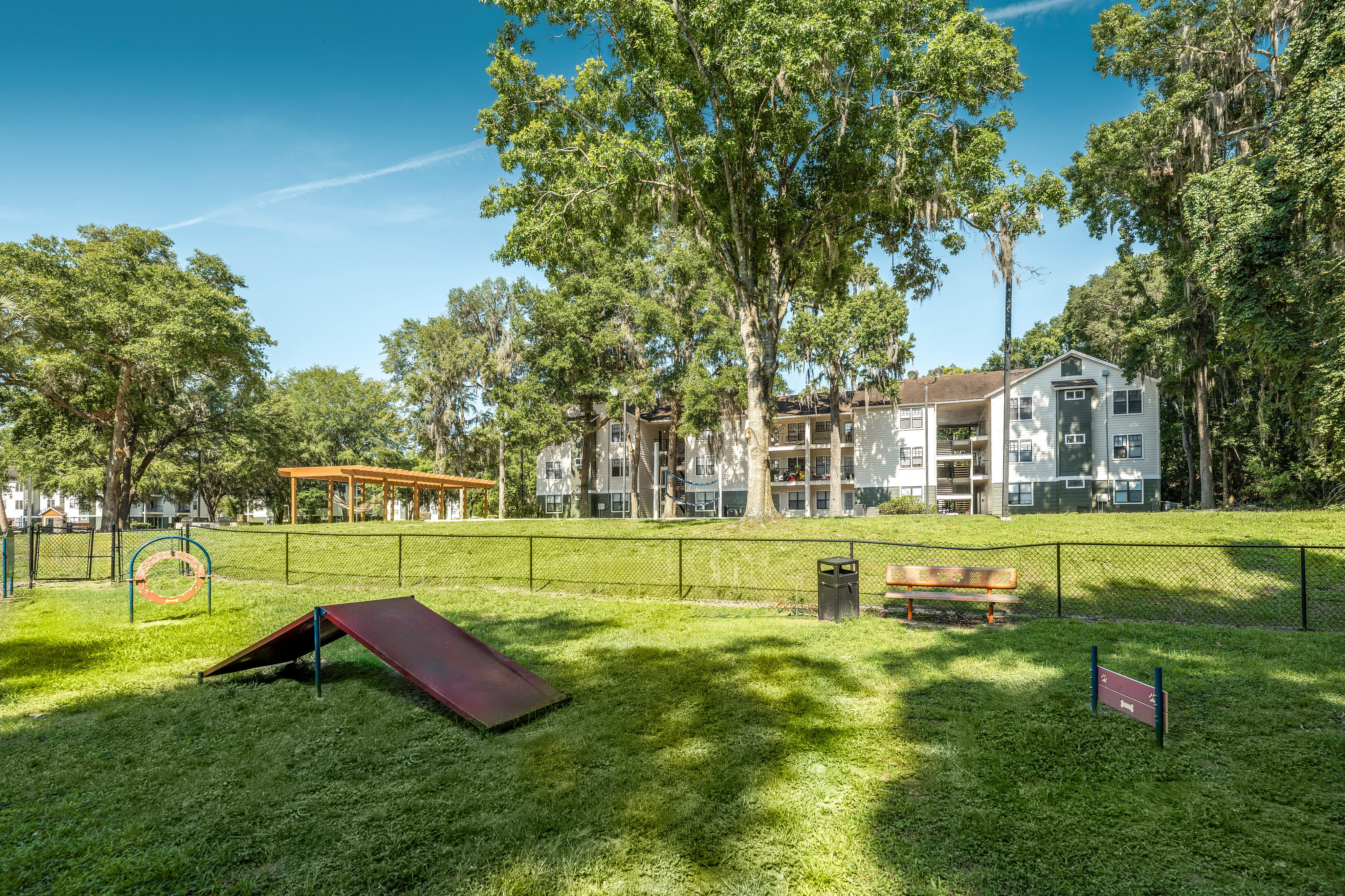 Forest View Apartments – photo 4
