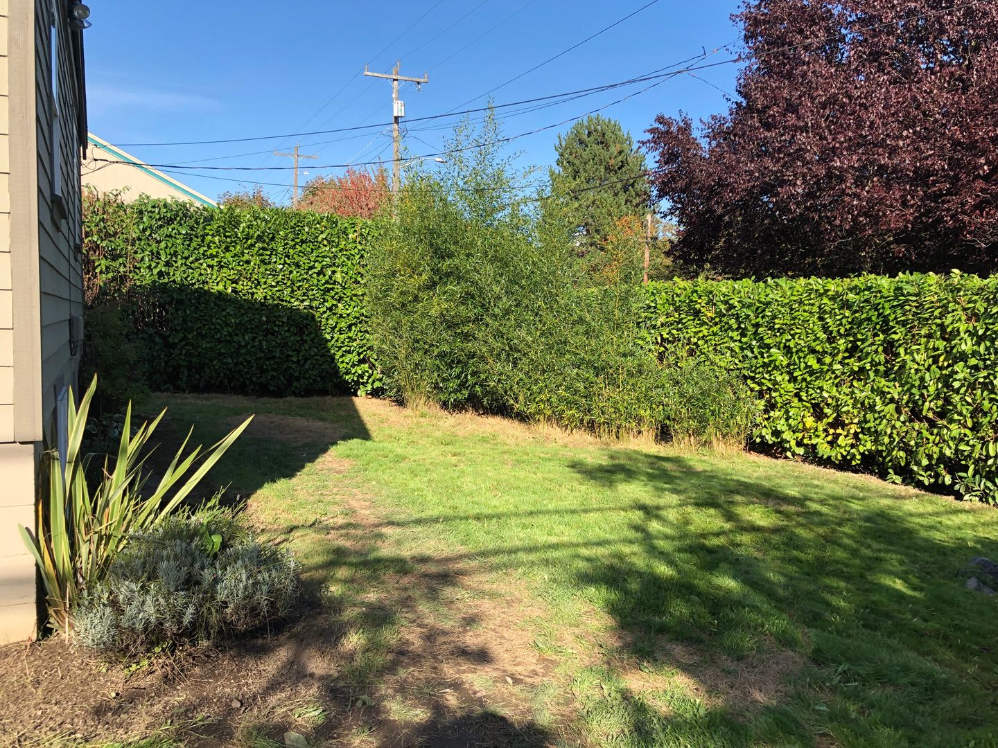 Great unit available in duplex! – photo 4