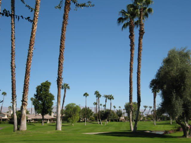 144 Las Lomas – photo 2