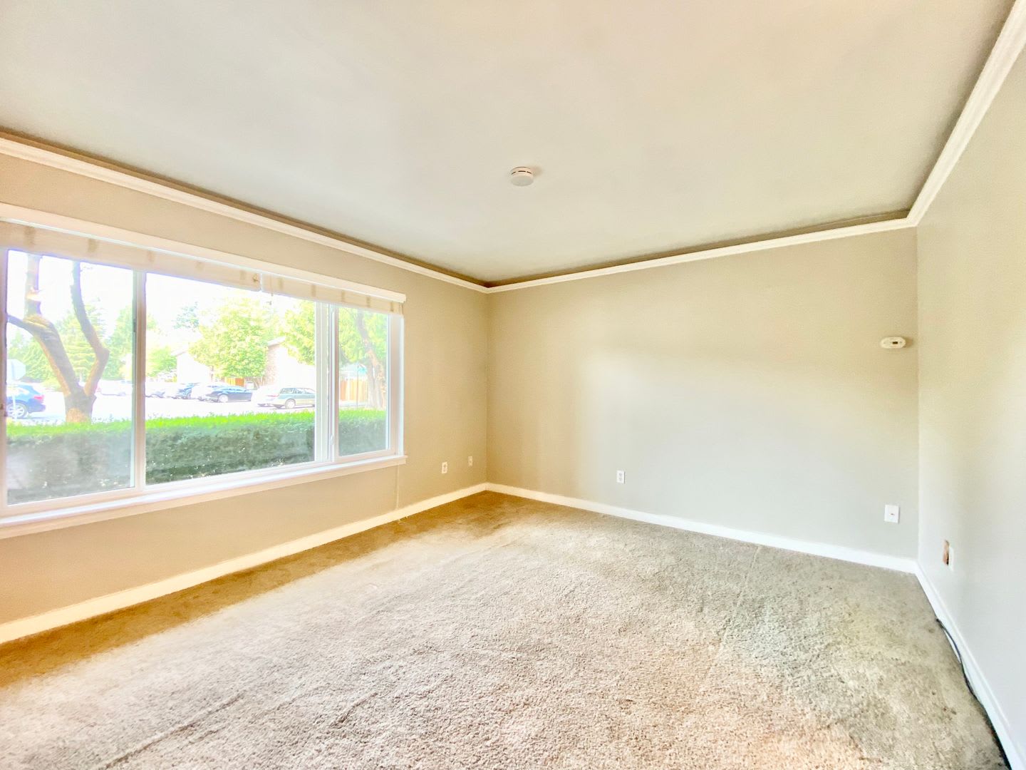Charming Townhome in Bellevue's Newport Hills Community – photo 3